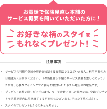 もれなくスタイプレゼント